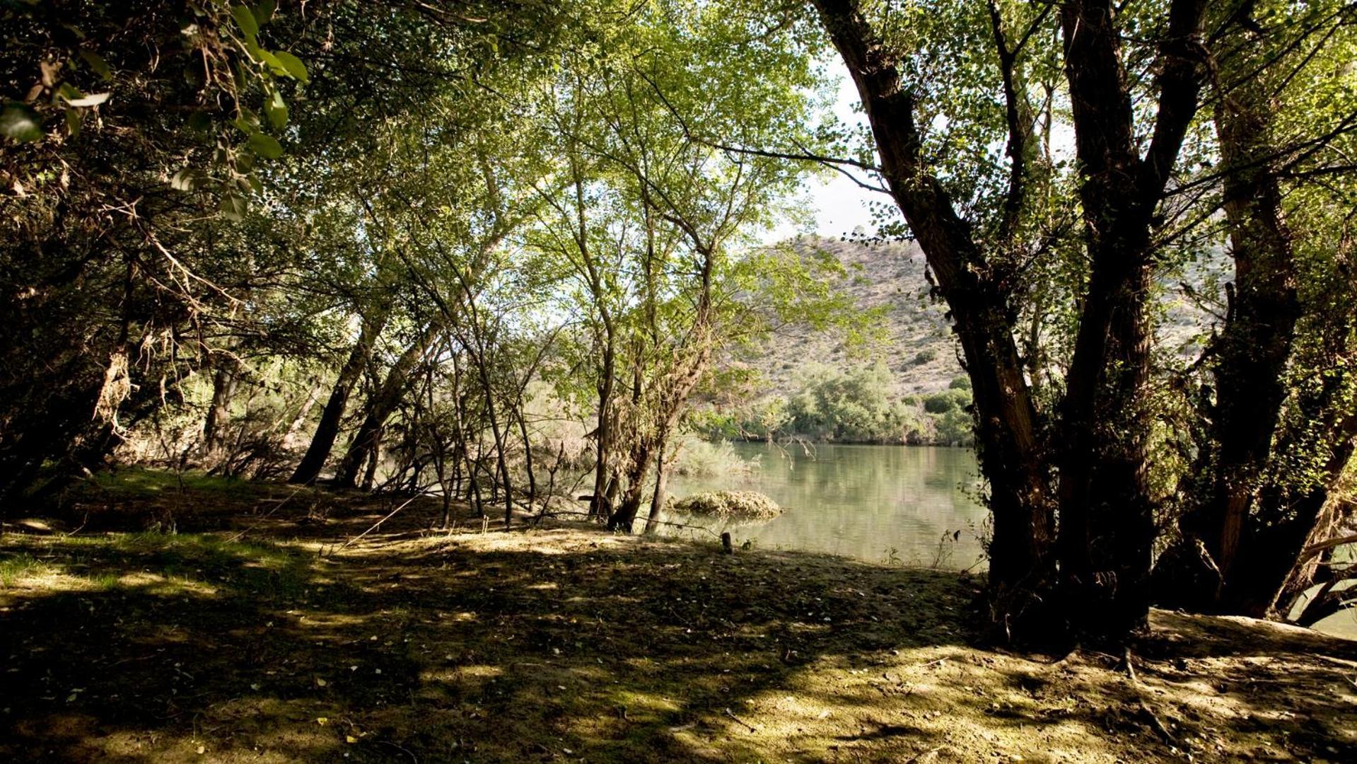 Hotel Vilar Riu De Baix Flix Dış mekan fotoğraf